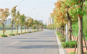 湖北484分考生可以报考哪些公办本科大学？（附带2022-2024年484录取名单）