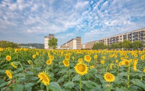 黑龙江高考588分可以录取那些高校？ 2024年录取最低分588的大学