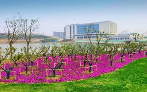 江苏高考多少分能录取东北大学秦皇岛分校？附近三年最低院校投档线