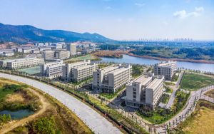 安徽高考多少分报考安徽农业大学？2024年历史类投档线560分 物理类最低521分