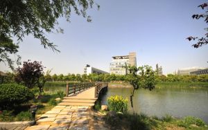辽宁502分考生都可以填报哪些大学？（附带2022-2024年502左右大学名单）