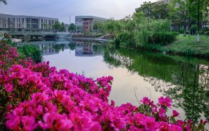 辽宁高考511分可以录取那些高校？（附带近三年511分大学录取名单）