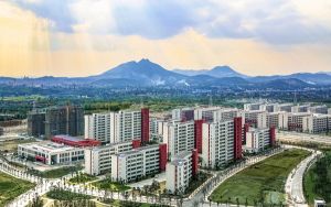 安徽考生多少分能上广东外语外贸大学南国商学院？附近三年最低院校投档线