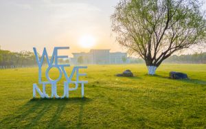 江西考生多少分能考上东北林业大学？2024年历史类574分 物理类最低568分