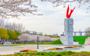 四川高考多少分能录取武汉城市职业学院？2024年文科最低437分 理科447分