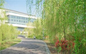 黑龙江考生514分可以填报哪些高校名单？ 2024年录取最低分514的大学