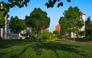 河南高考539分左右录取的本科大学名单！（供2025届高三考生参考）