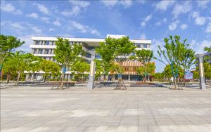 河北高考多少分能录取张家界航空工业职业技术学院？附2022-2024年最低录取分数线