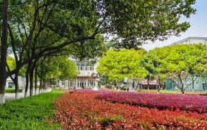 贵州高考多少分报考南开大学？2024年历史类投档线642分 物理类录取分645分