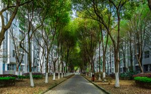 辽宁高考多少分能考上南京师范大学？附2022-2024年最低录取分数线