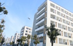 广东高考多少分能考上广州航海学院？2024年历史类503分 物理类录取分505分