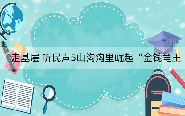 走基层 听民声5山沟沟里崛起“金钱龟王