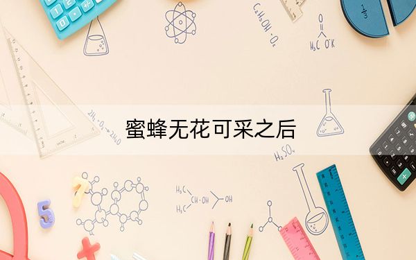 蜜蜂无花可采之后