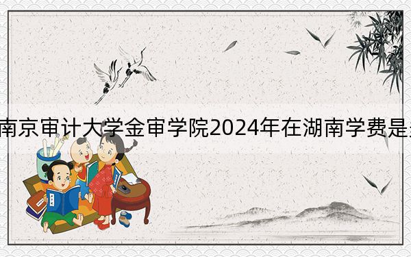 南京审计大学金审学院2024年在湖南学费是多少？湖南考生2025年参考