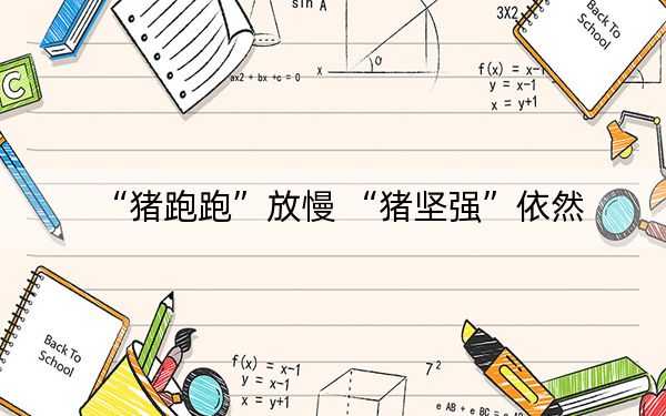 “猪跑跑”放慢 “猪坚强”依然