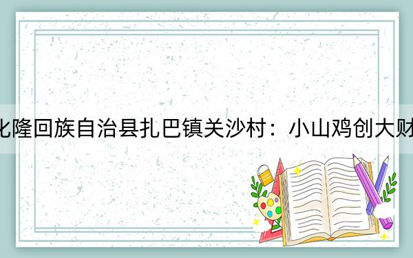 化隆回族自治县扎巴镇关沙村：小山鸡创大财富
