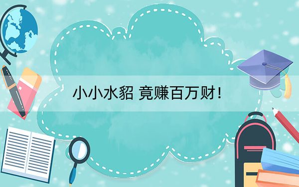 小小水貂 竟赚百万财！