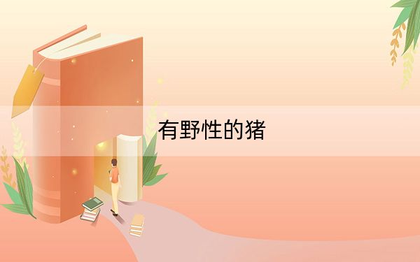 有野性的猪