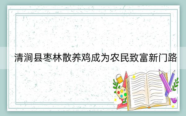 清涧县枣林散养鸡成为农民致富新门路