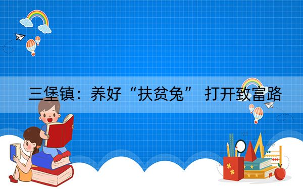 三堡镇:养好“扶贫兔” 打开致富路