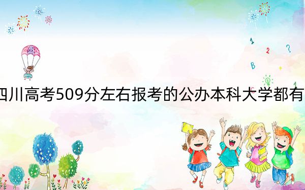 四川高考509分左右报考的公办本科大学都有哪些？ 2025年高考可以填报70所大学