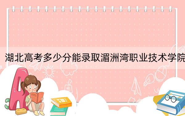 湖北高考多少分能录取湄洲湾职业技术学院？附2022-2024年最低录取分数线