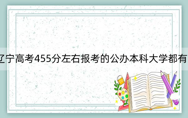 辽宁高考455分左右报考的公办本科大学都有哪些？