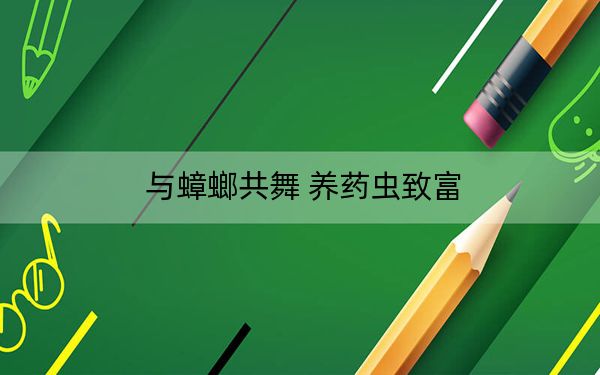 与蟑螂共舞 养药虫致富