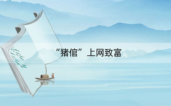 “猪倌”上网致富