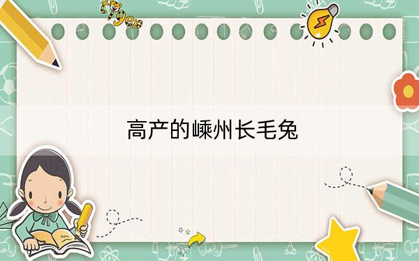 高产的嵊州长毛兔