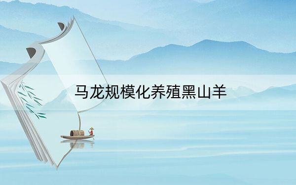 马龙规模化养殖黑山羊