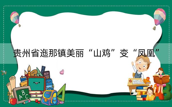 贵州省迤那镇美丽“山鸡”变“凤凰”