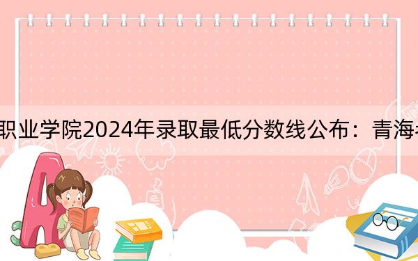 天津商务职业学院2024年录取最低分数线公布：青海考生2025年参考