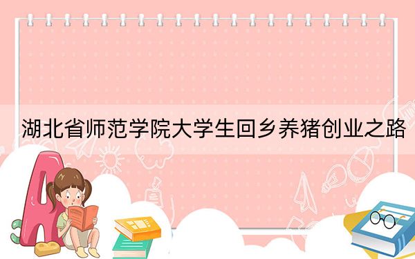 湖北省师范学院大学生回乡养猪创业之路