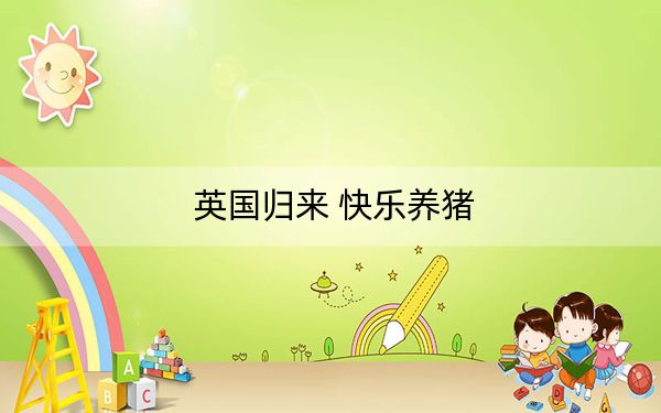 英国归来 快乐养猪