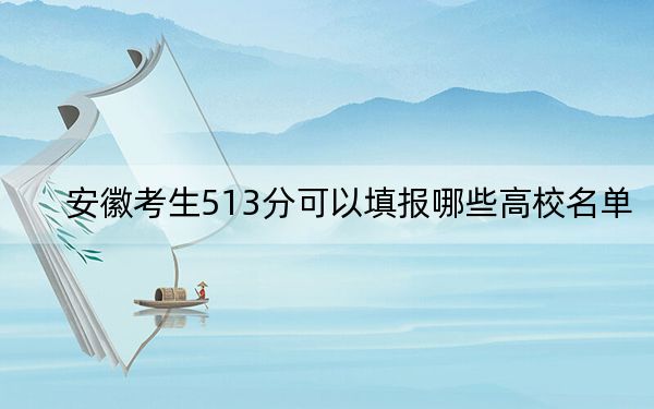 安徽考生513分可以填报哪些高校名单？ 2024年一共70所大学录取