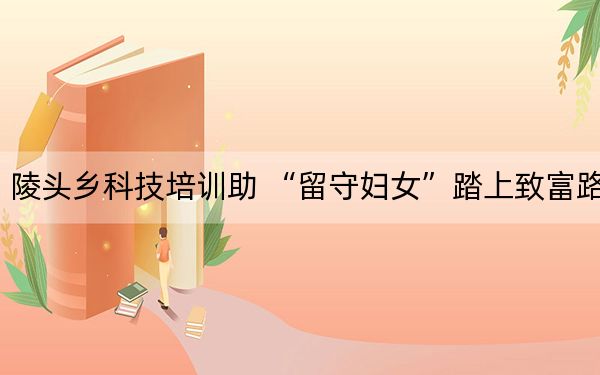 陵头乡科技培训助 “留守妇女”踏上致富路
