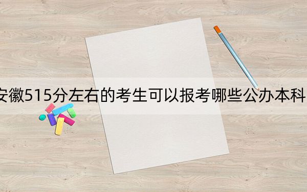 安徽515分左右的考生可以报考哪些公办本科大学？