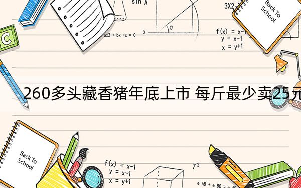 260多头藏香猪年底上市 每斤最少卖25元