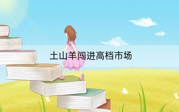 土山羊闯进高档市场