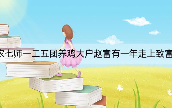 农七师一二五团养鸡大户赵富有一年走上致富路