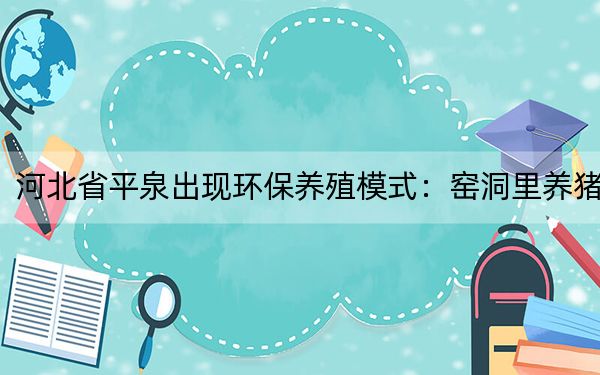 河北省平泉出现环保养殖模式：窑洞里养猪