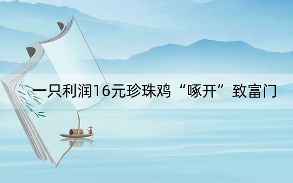 一只利润16元珍珠鸡“啄开”致富门