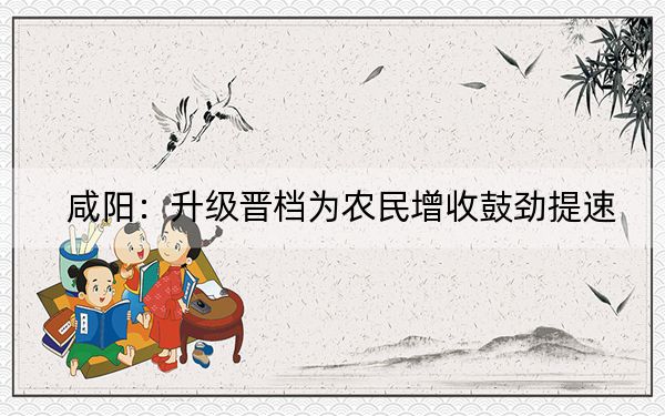 咸阳：升级晋档为农民增收鼓劲提速
