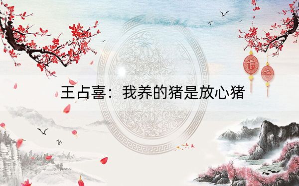 王占喜：我养的猪是放心猪