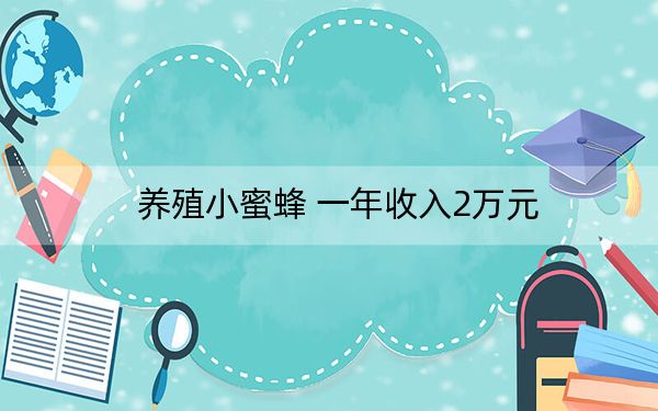 养殖小蜜蜂 一年收入2万元
