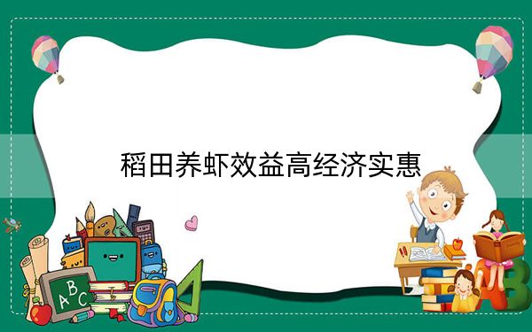 稻田养虾效益高经济实惠