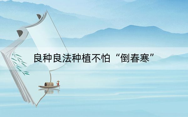 良种良法种植不怕“倒春寒”