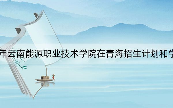 2024年云南能源职业技术学院在青海招生计划和学费是多少？录取分数线是多少？