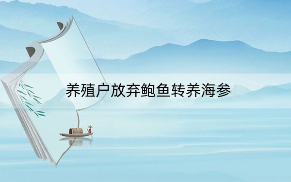 养殖户放弃鲍鱼转养海参